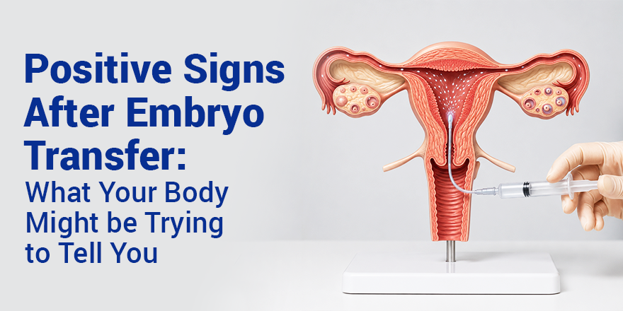 Positive Signs After Embryo Transfer: Symptoms of Successful Implantation